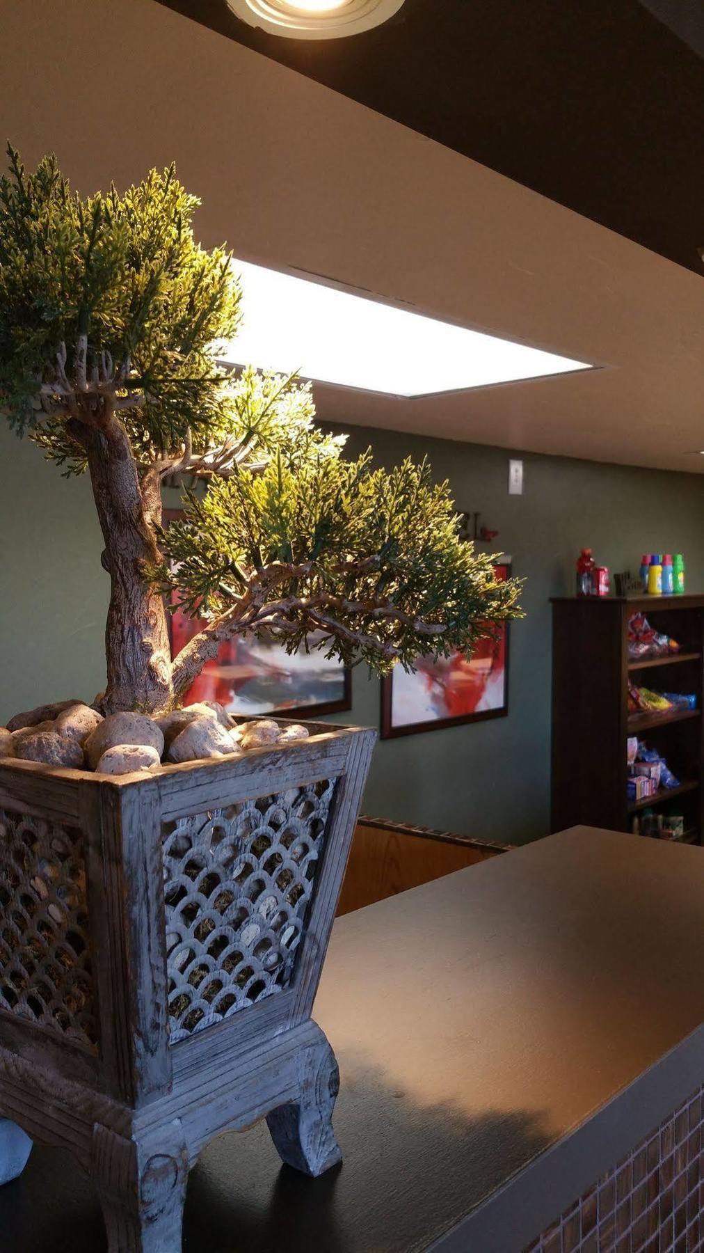 Mariposa Hotel Nogales Zewnętrze zdjęcie